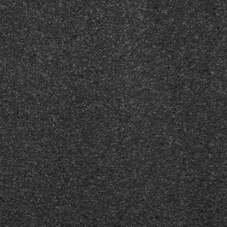 BRE.TOULON Dixie Toulon Carpet-20