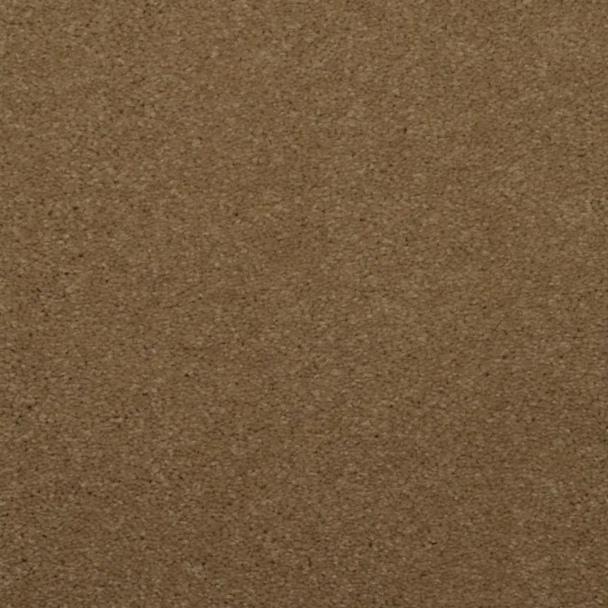 BRE.TOULON Dixie Toulon Carpet-3