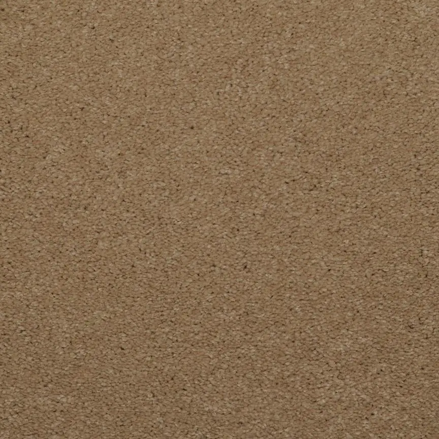 BRE.TOULON Dixie Toulon Carpet-4