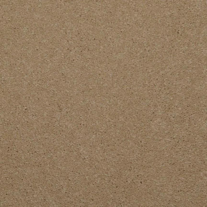 BRE.TOULON Dixie Toulon Carpet-5