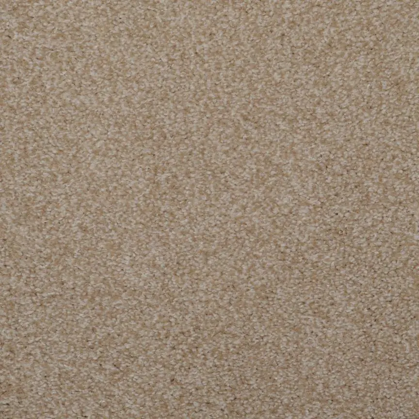 BRE.TOULON Dixie Toulon Carpet-6