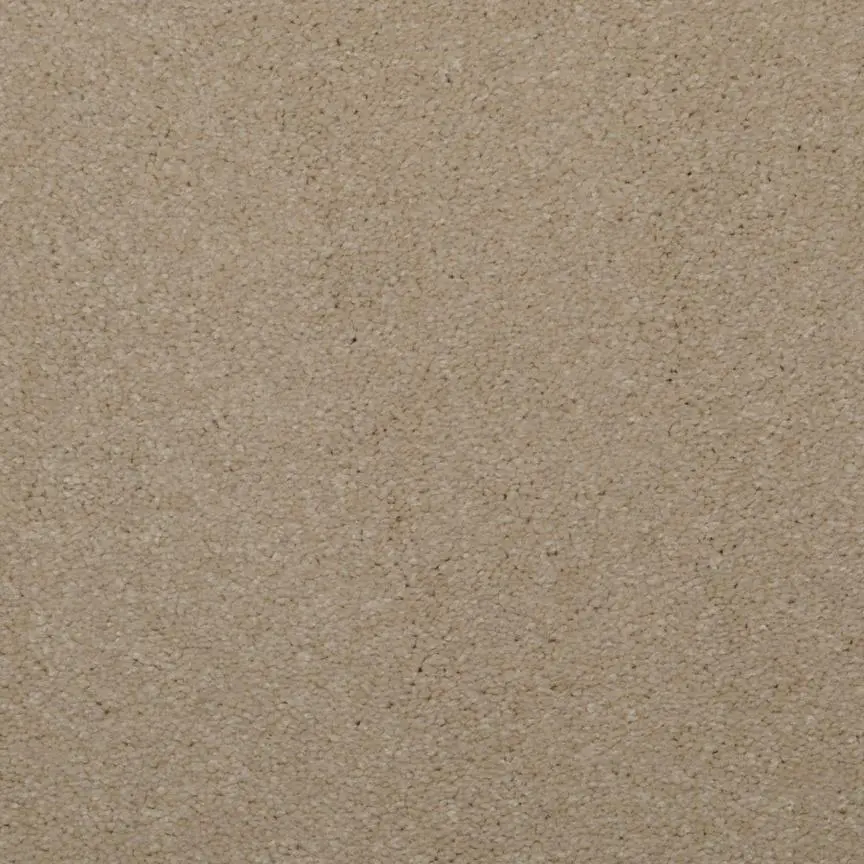 BRE.TOULON Dixie Toulon Carpet-8