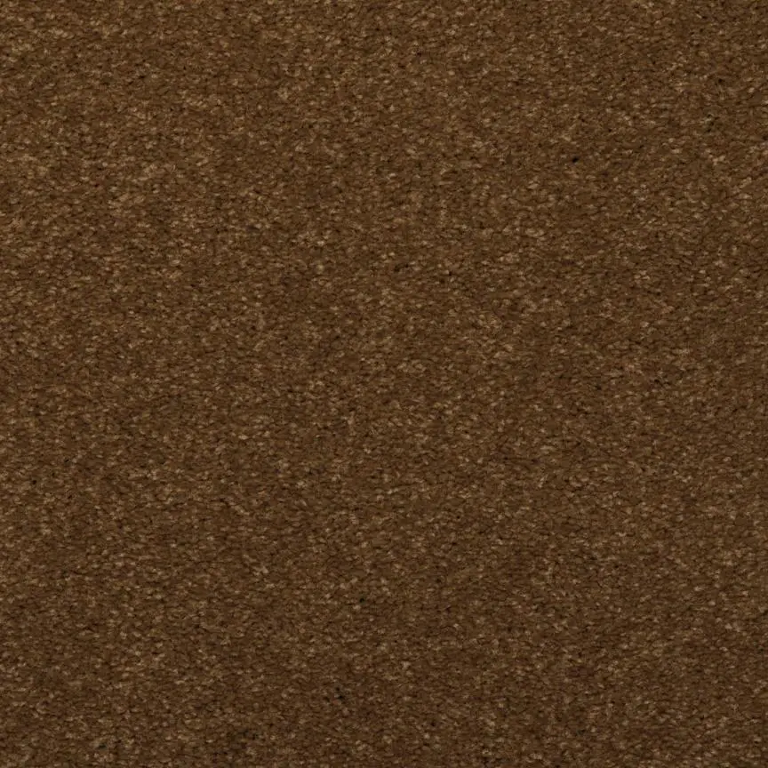 BRE.TOULON Dixie Toulon Carpet-9