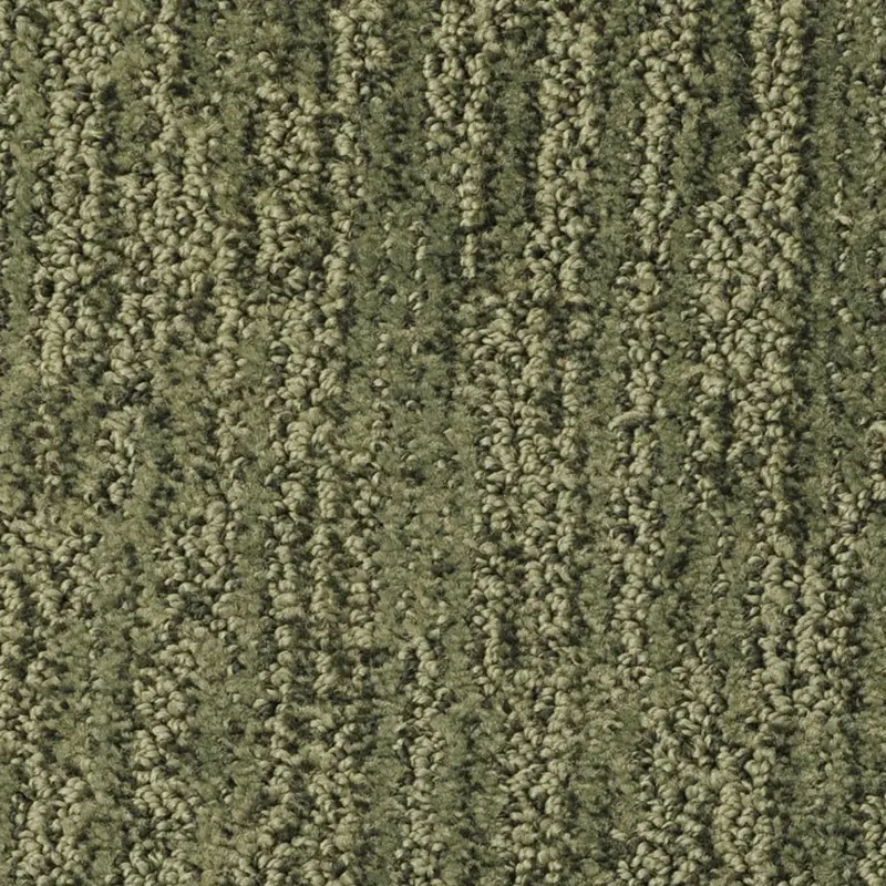 Masland Mesa Verde Carpet