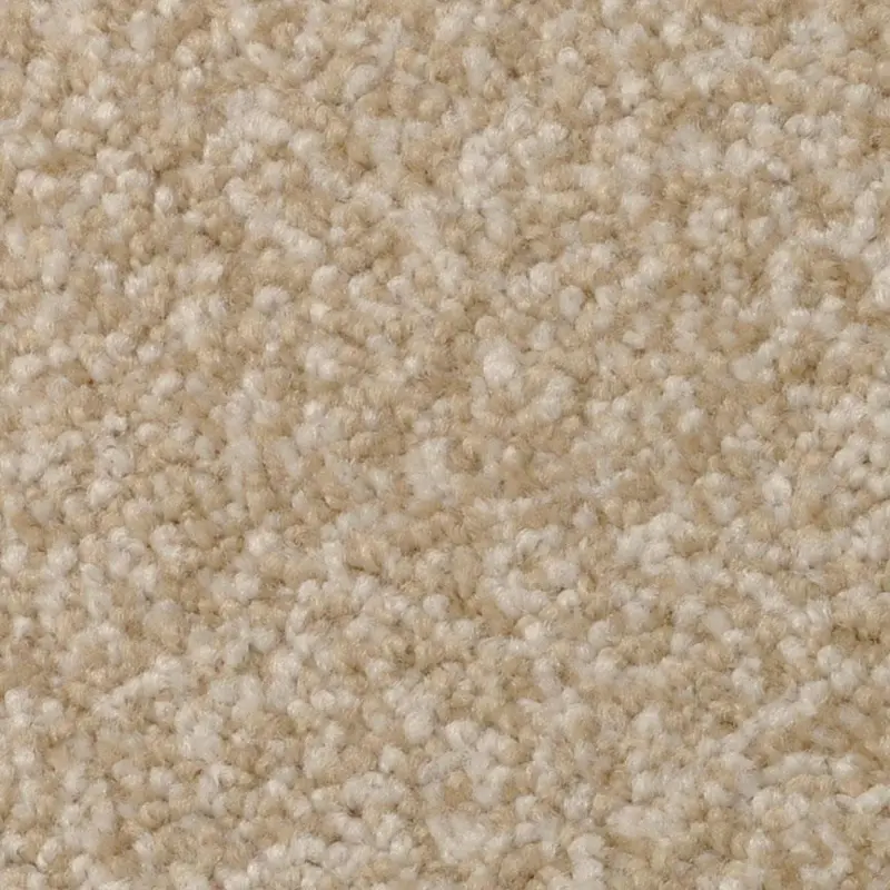 Dixie Amore Carpet