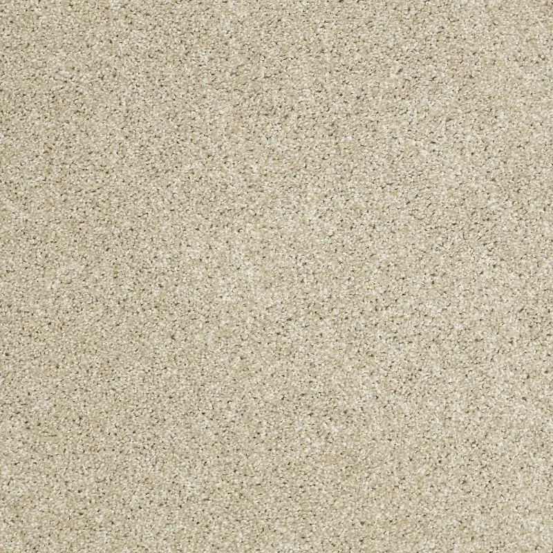 Shaw Uncomplicated Carpet