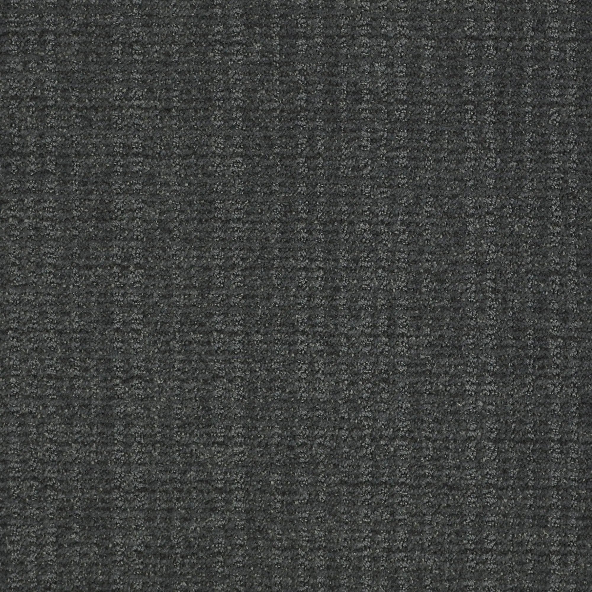 PHL.SUPERIOR.BEAUTY.MD Shaw Superior Beauty Carpet-1