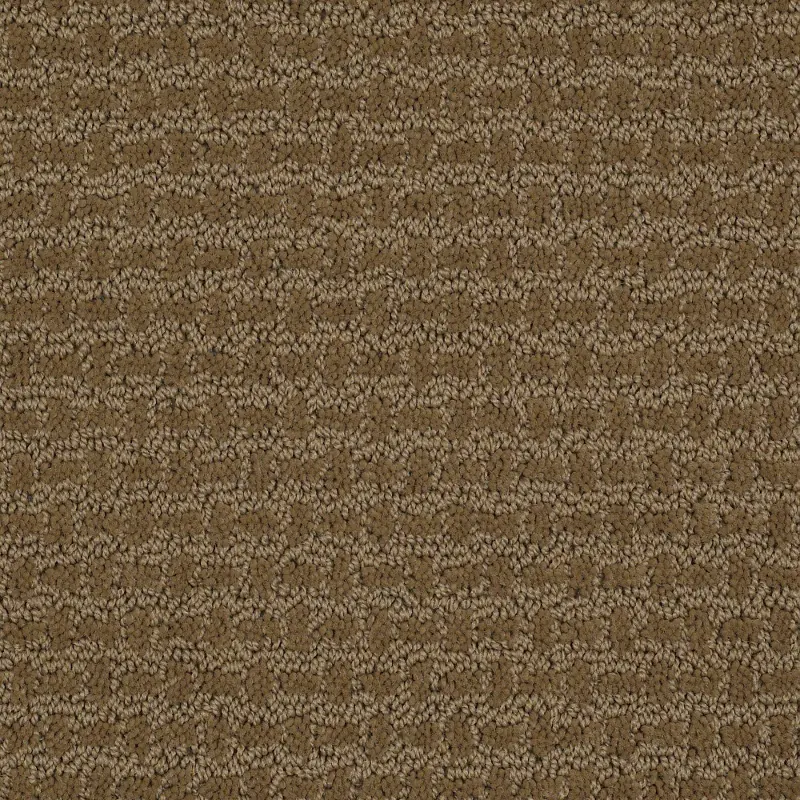 Shaw World View Carpet