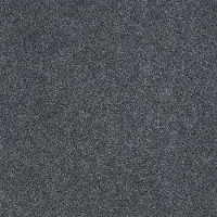 PHL.PHENOMENAL Shaw Phenomenal Carpet