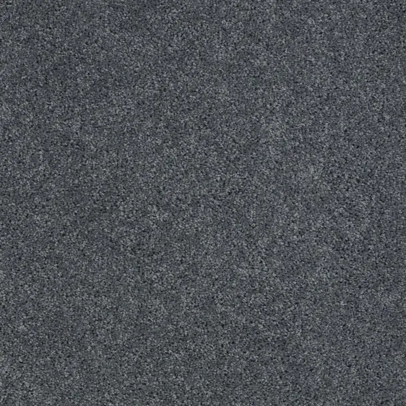 Shaw Phenomenal Carpet