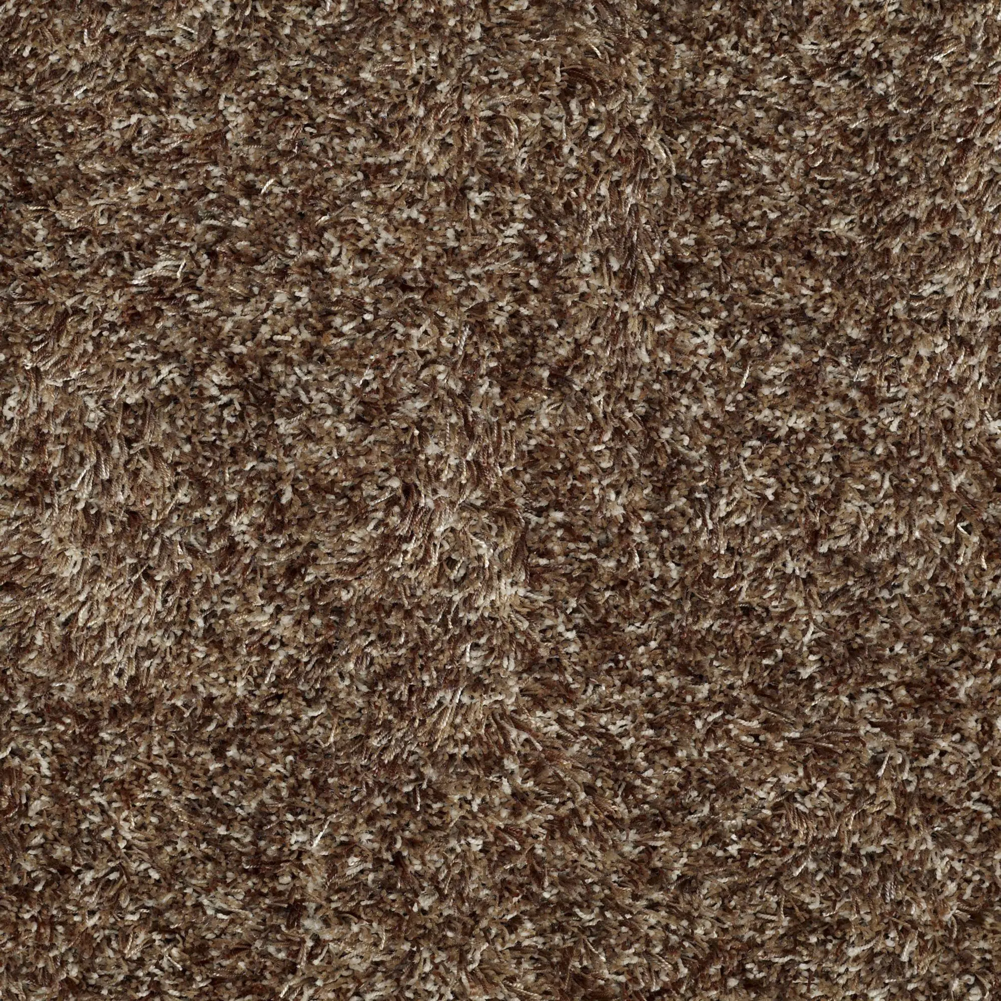 DSW.SWAG.MD Tuftex Swag Carpet-1