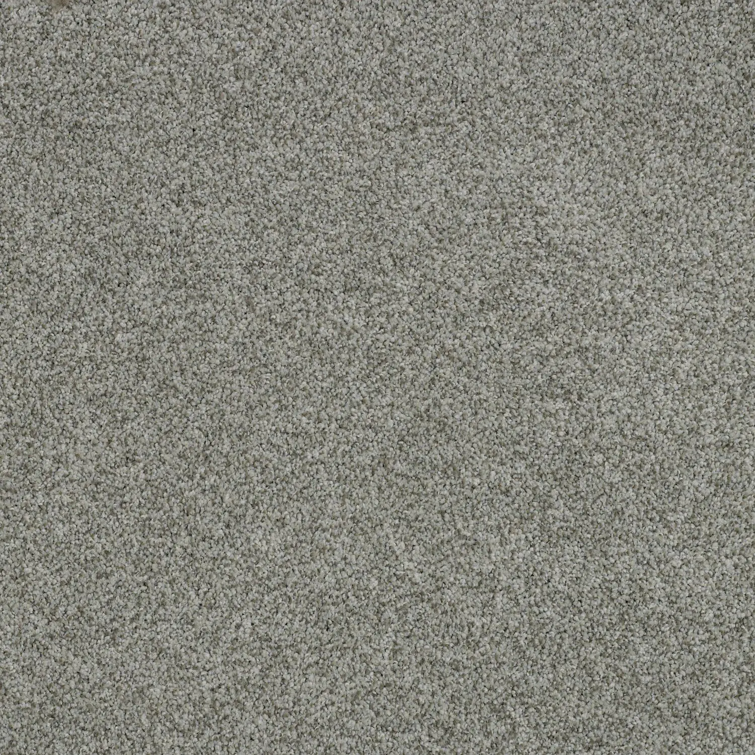 DSW.OLIVER.MD Tuftex  Oliver Carpet-1