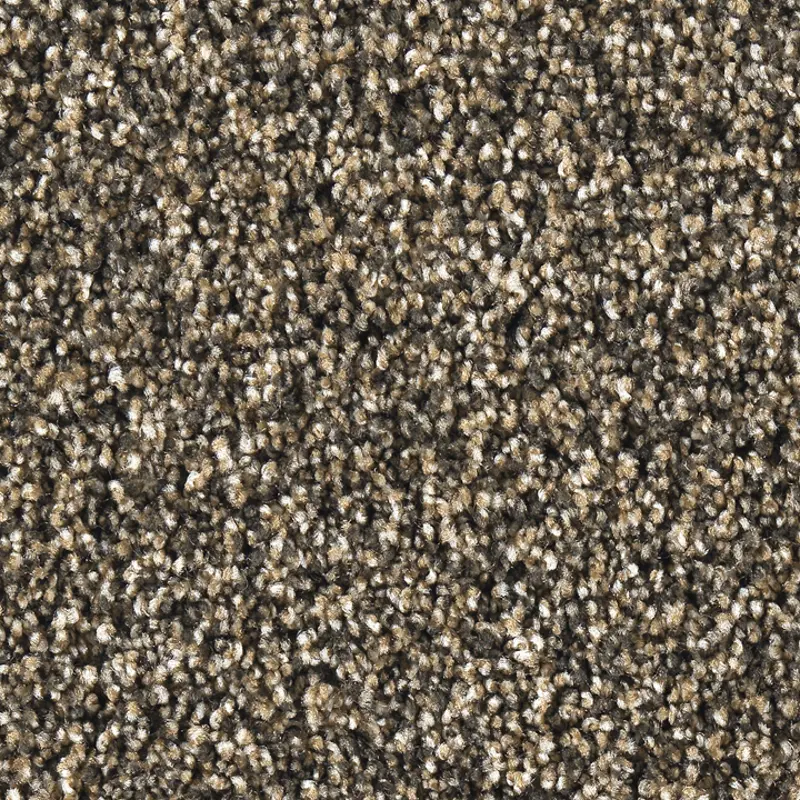 Best Buy Smooth Operator Carpet