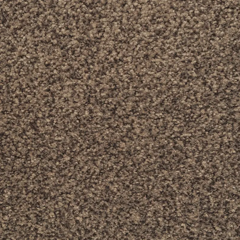 Dixie Bashan Carpet