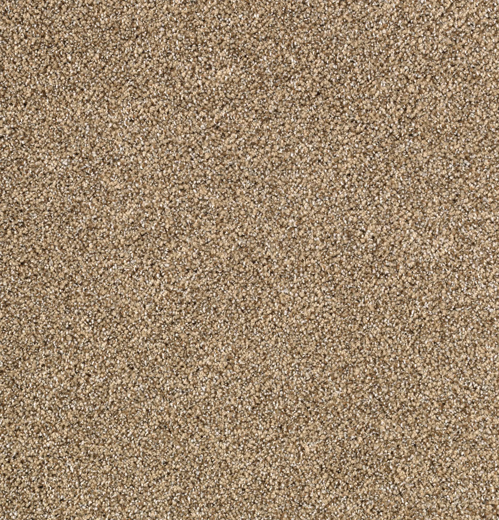 KAR.UPSCALE.LIVING.STOCK Karastan Upscale Living Carpet-1