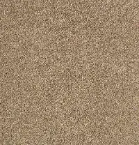 KAR.UPSCALE.LIVING.STOCK Karastan Upscale Living Carpet