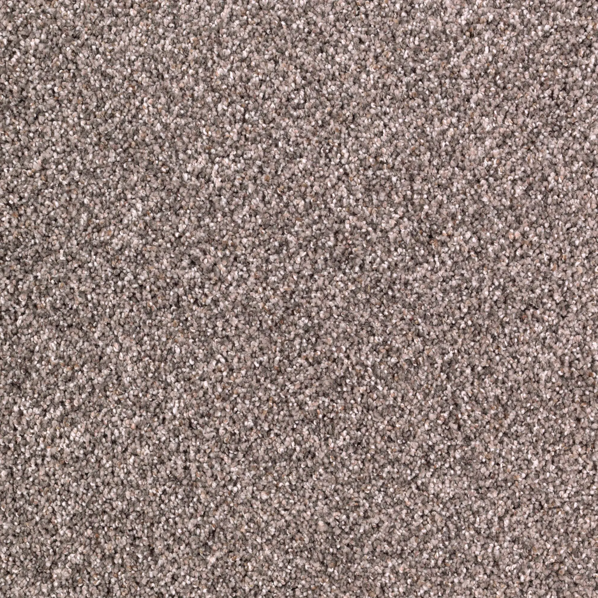 KAR.PURE.DISTINCTION.STOCK Karastan Pure Distinction Carpet-1