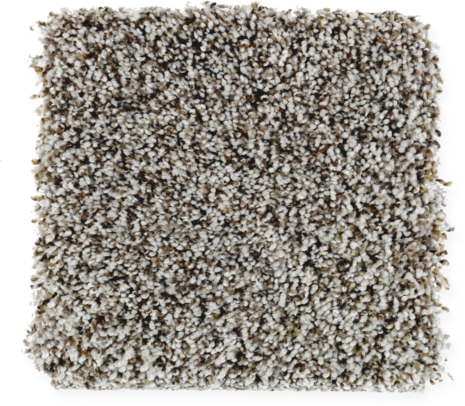 MHK.UPSCALE.BEAUTY.II.STOCK Mohawk Upscale Beauty II Carpet-1