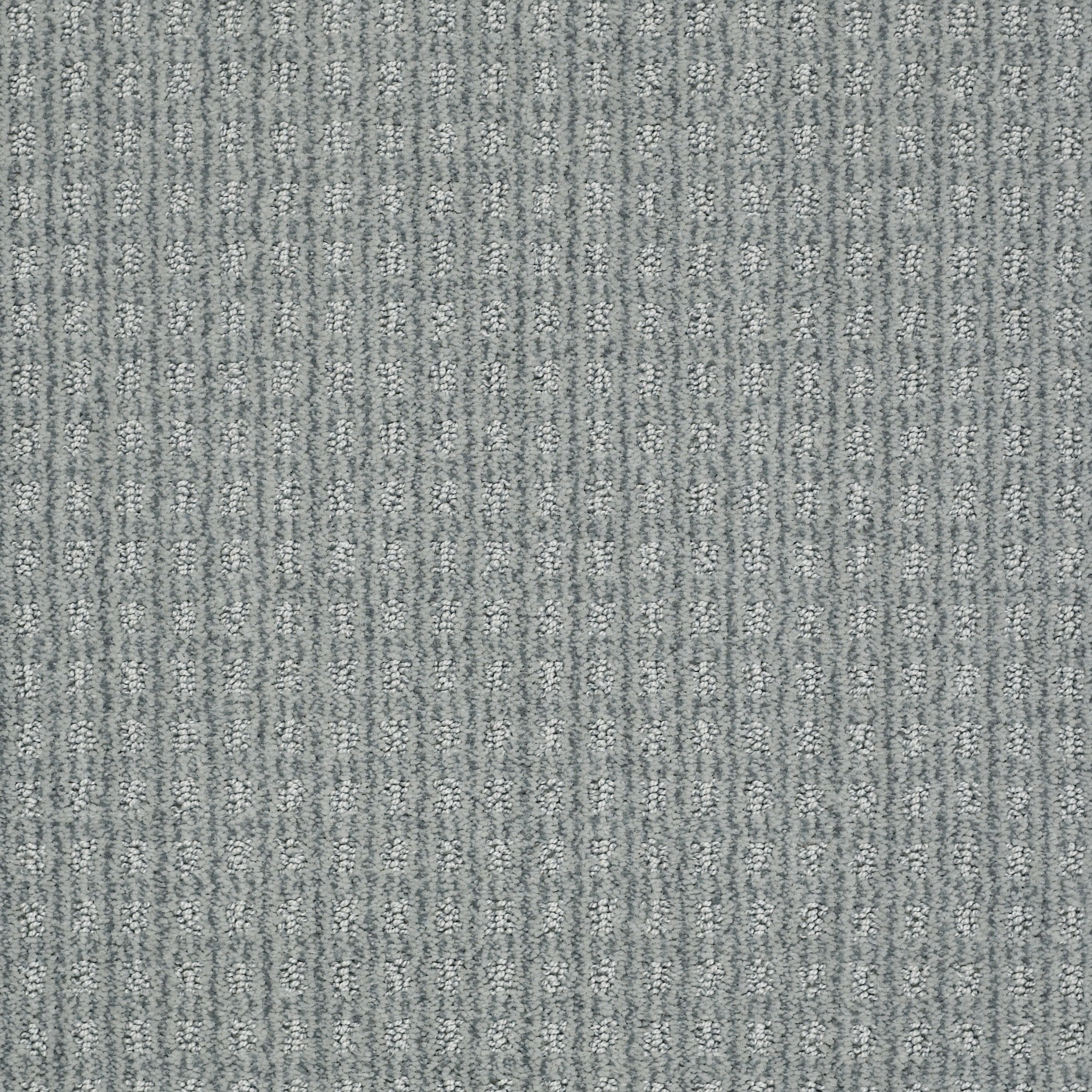 DSW.LIVING.LARGE.MD Tuftex Living Large Carpet-1