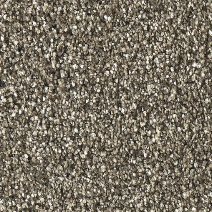 BBFS.SOLO.STOCK Best Buy Solo Carpet-1