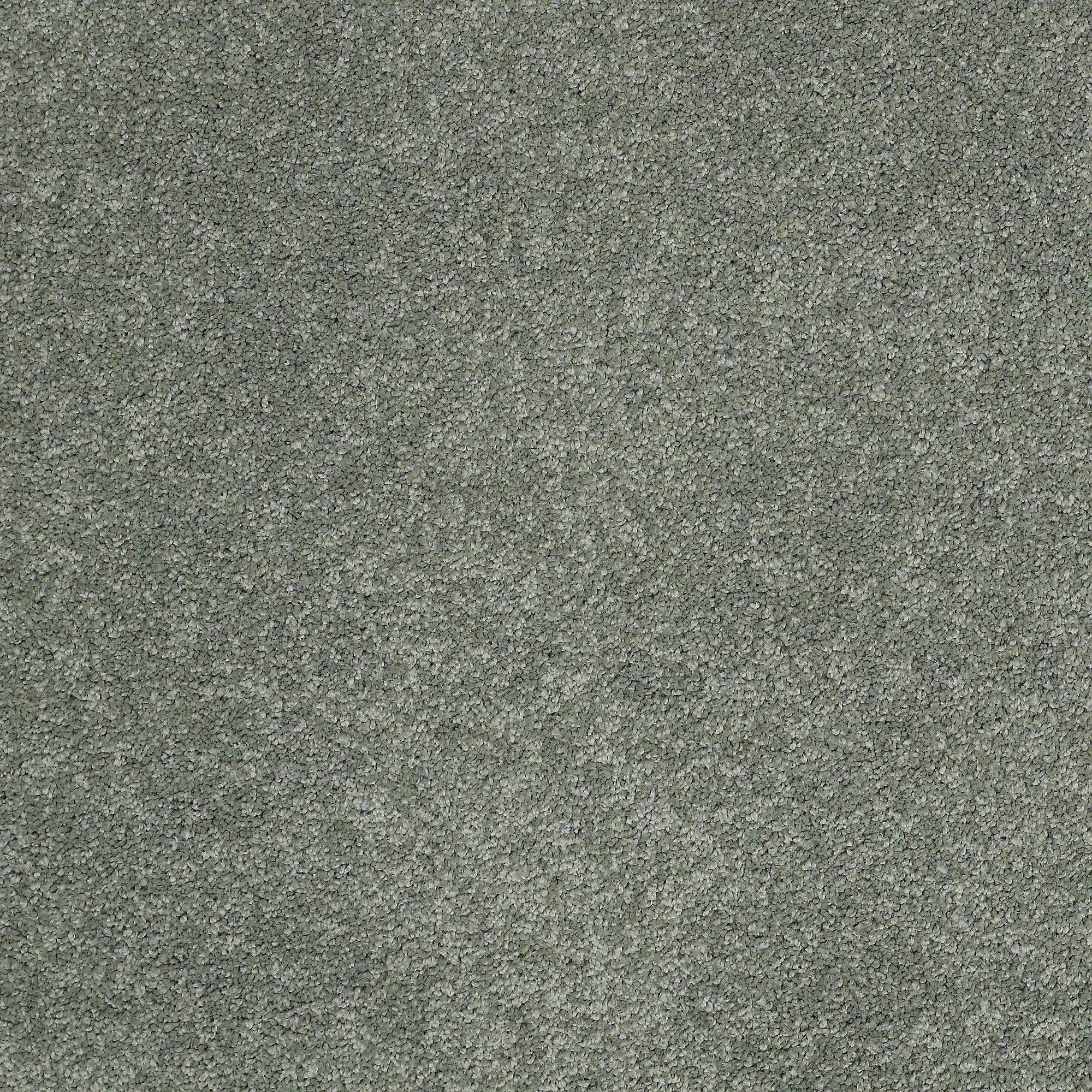 PHL.BARRACAN.CLASSIC.I Shaw Barracan Classic I Carpet-2