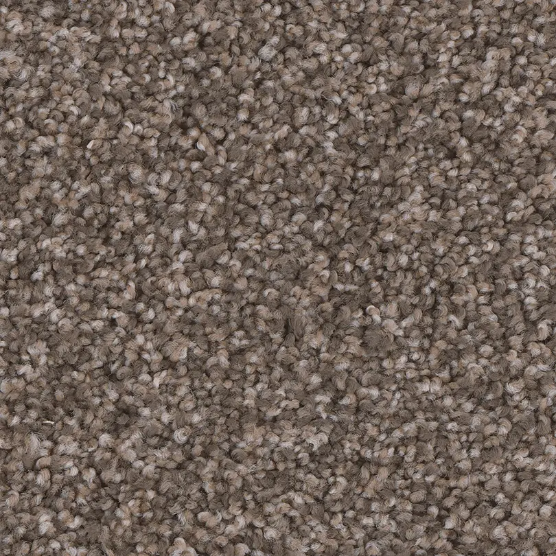 PHN.ENTHRALLED.STOCK Phenix Stain Protection Enthralled Carpet-1