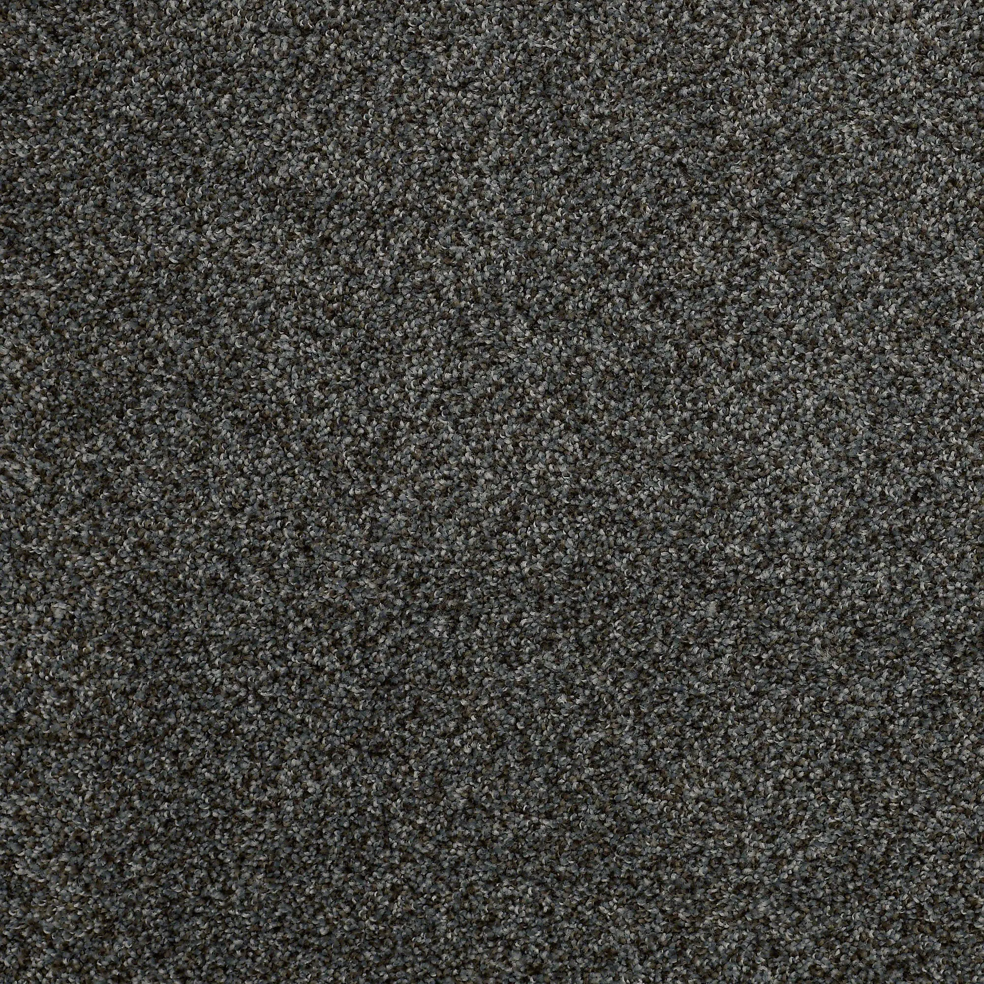 DSW.HOLLISTER.MD Tuftex Hollister Carpet-1