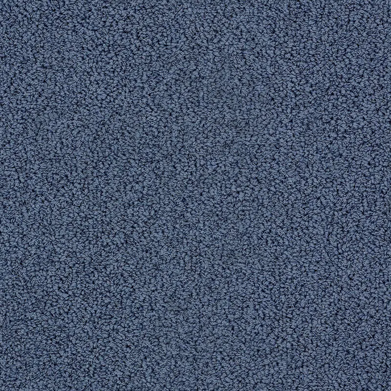 Tuftex  Empress Carpet