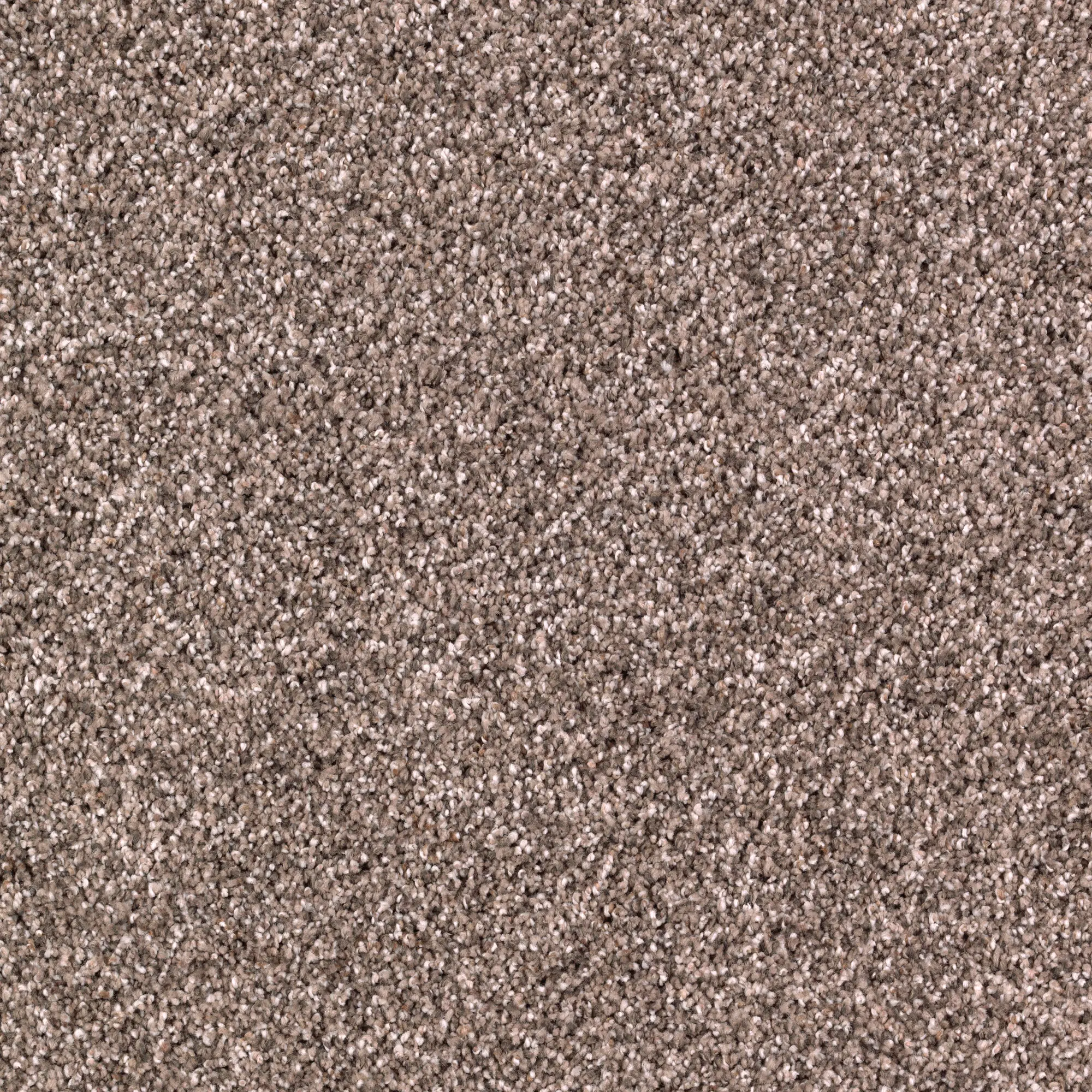 KAR.FORMAL.EMBRACE.STOCK Karastan Formal Embrace Carpet-1