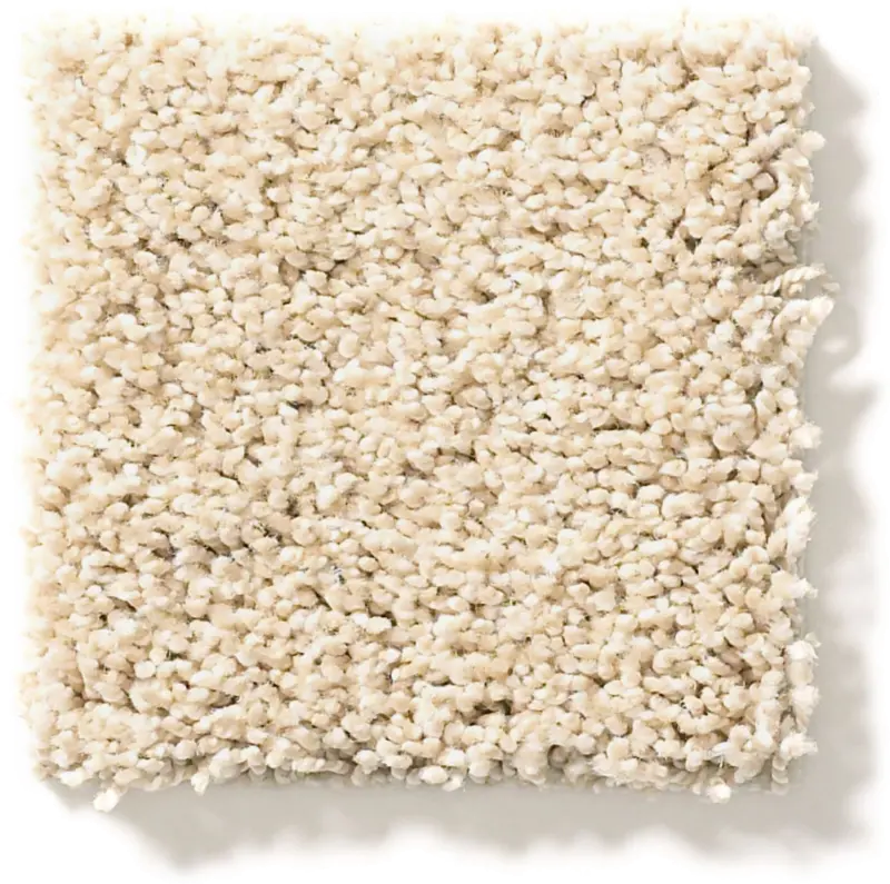 Tuftex Acadia Park Carpet