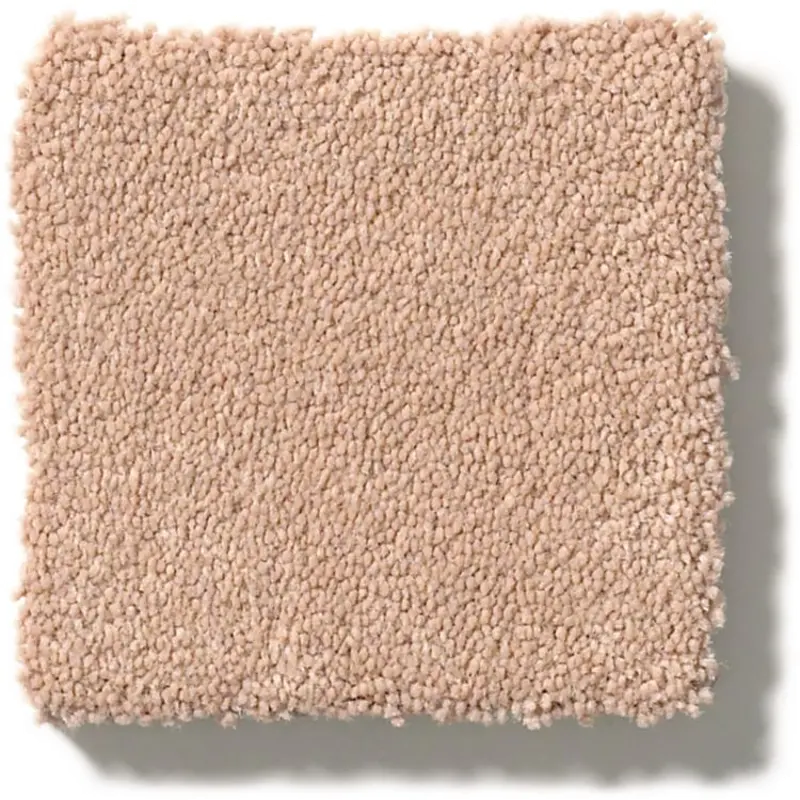 Tuftex Perfect Choice Carpet
