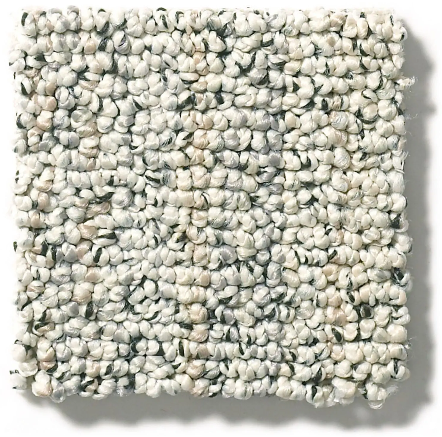 DSW.ASPEN.CREEK Tuftex Aspen Creek Carpet-2