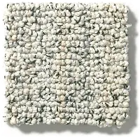 DSW.ASPEN.CREEK Tuftex Aspen Creek Carpet