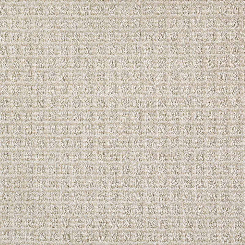 Karastan Strength Carpet