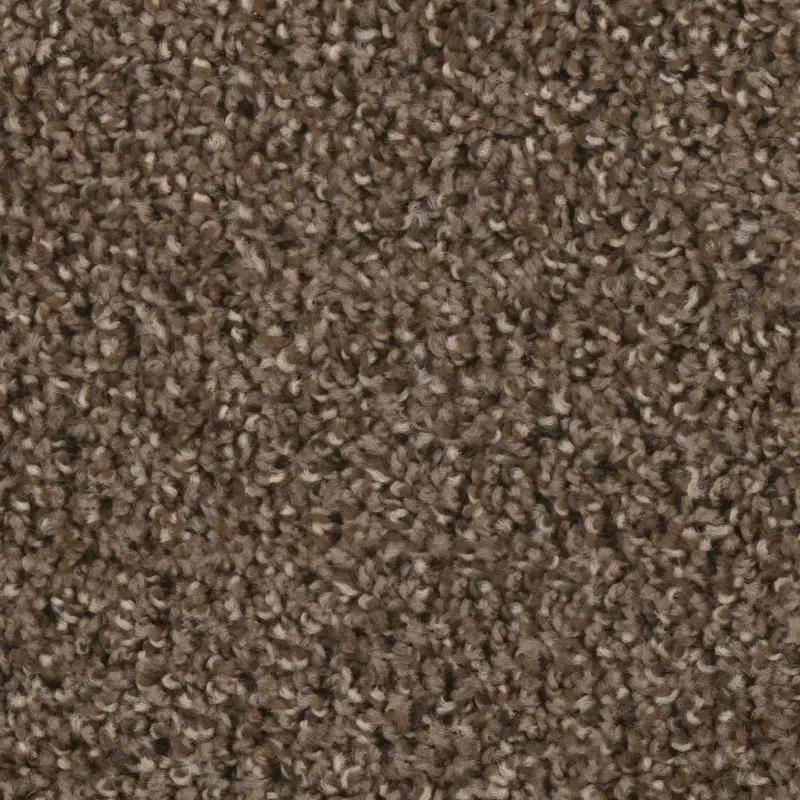 Dream Weaver Step Up Carpet