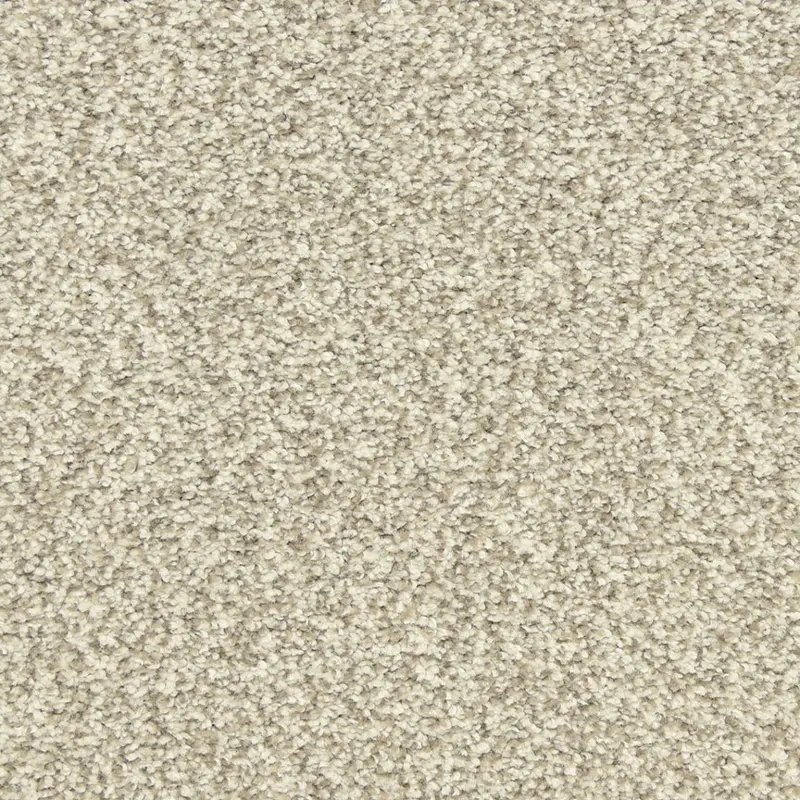 Dixie Morning Reflections Carpet 