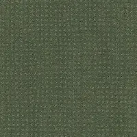 PHL.WELL.MANNERED Shaw Well Mannered Carpet