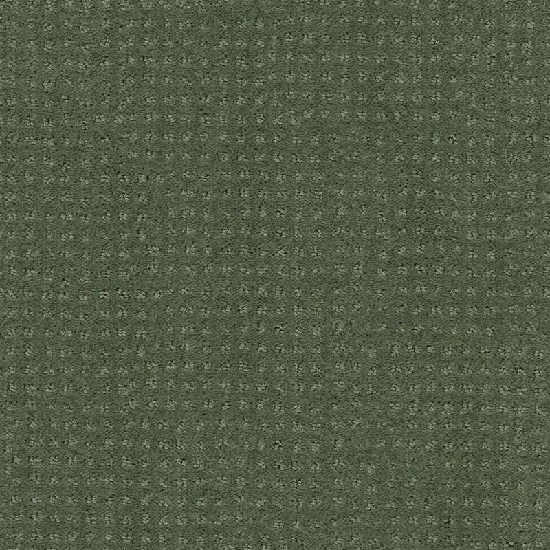 Shaw Well Mannered Carpet