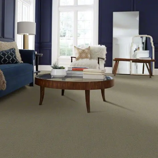 PHL.WELL.MANNERED Shaw Well Mannered Carpet-2