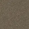 PHL.DEL.MORRO Tuftex Del Morro Carpet
