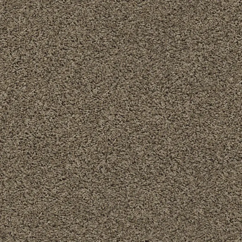 Tuftex Del Morro Carpet