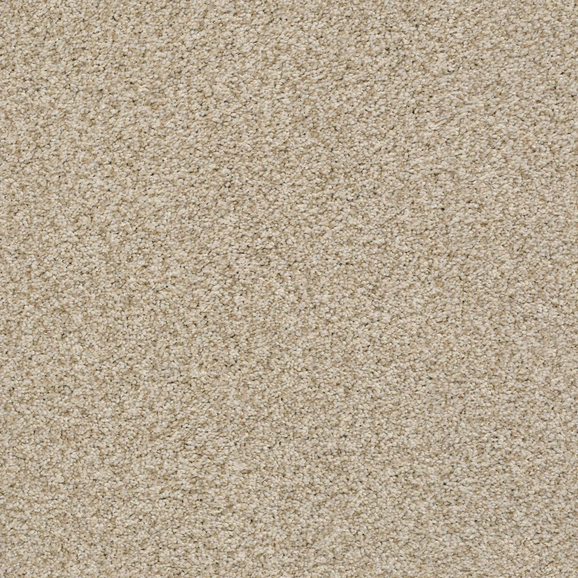 DSW.THE.BARK.SIDE.II.STOCK Tuftex The Bark Side II Carpet-1