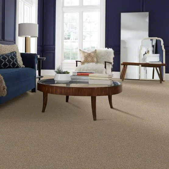 DSW.THE.BARK.SIDE.II.STOCK Tuftex The Bark Side II Carpet-2