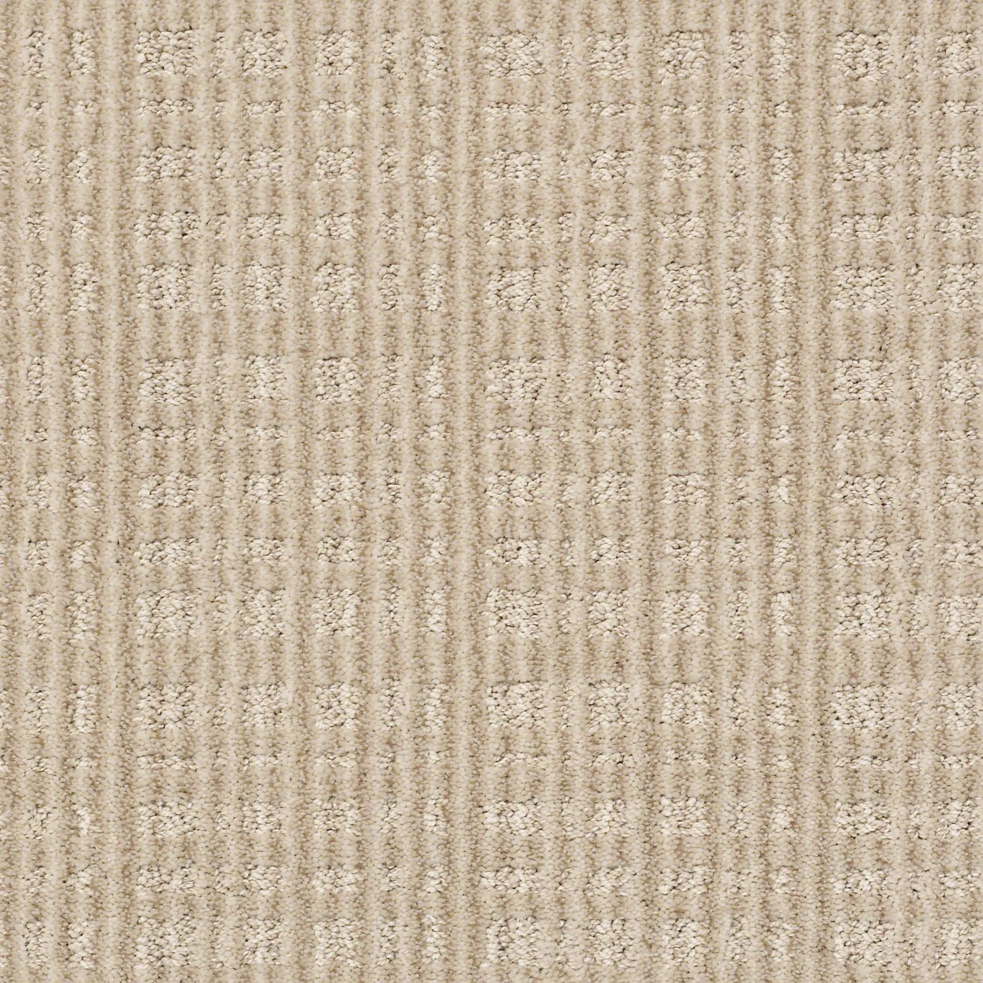 DSW.PURRSUASION.STOCK Tuftex Purrsuasion Carpet-1