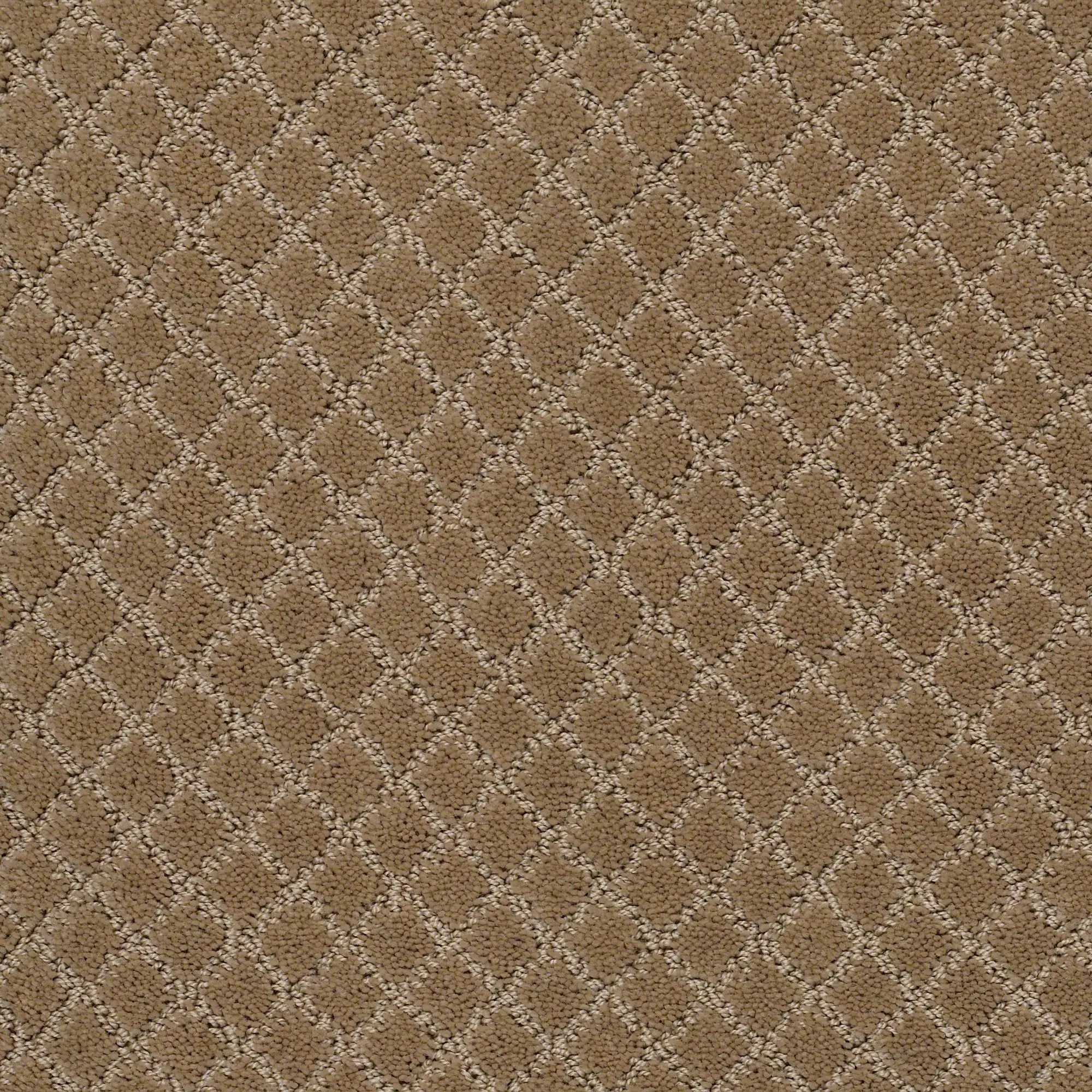 DSW.PAWNACHE Tuftex Pawnache Carpet-1