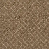 DSW.PAWNACHE Tuftex Pawnache Carpet
