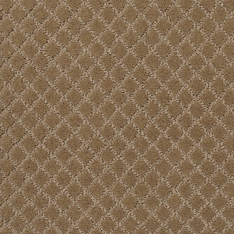 Tuftex Pawnache Carpet