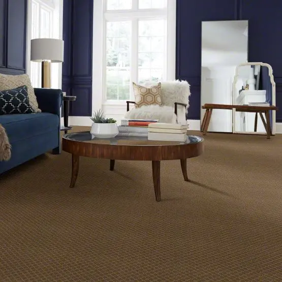 DSW.PAWNACHE Tuftex Pawnache Carpet-2