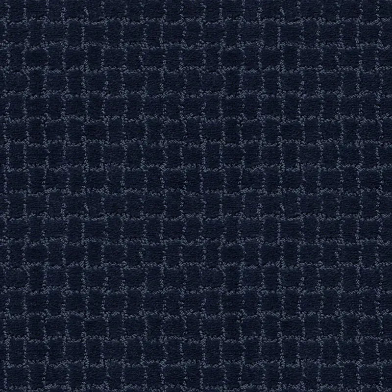 Tuftex Pawstruck Carpet