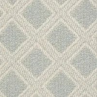DSW.SCOUT Tuftex Scout Carpet